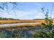 Scenic marsh view with native grasses reflecting the bright blue sky on a sunny day at 26 Saturday Rd, Mount Pleasant, SC 29464
