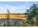 Scenic view of the marsh with tranquil water surrounded by natural vegetation and trees at 26 Saturday Rd, Mount Pleasant, SC 29464