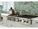 Close up view of a Wolf brand stainless steel six burner cooktop and pot filler faucet at 511 W Ashley Ave, Folly Beach, SC 29439