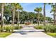 Scenic park walkway lined with palm trees and lush greenery, providing a tranquil outdoor setting at 610 Daggett St, Daniel Island, SC 29492