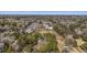 Wide aerial shot showcases homes interspersed with lush greenery, capturing the essence of suburban living at 1812 Burgess St, Charleston, SC 29412