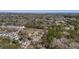 Wide aerial perspective featuring homes surrounded by verdant trees, offering a blend of nature and community living at 1812 Burgess St, Charleston, SC 29412