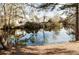 Scenic view of a pond reflecting neighboring homes through bare winter trees at 2045 Country Manor Dr, Mount Pleasant, SC 29466