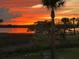Beautiful sunset featuring palm trees at 2156 Cheswick Ln, Mount Pleasant, SC 29466