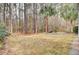 Spacious backyard with mature trees, natural surroundings, and a stone patio with a fire pit at 2516 Willbrook Ln, Mount Pleasant, SC 29466
