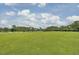 Vast green grass field, clear blue skies, lined trees, and palm trees provide an excellent recreational area for residents at 2516 Willbrook Ln, Mount Pleasant, SC 29466