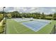 Upgraded community tennis courts and basketball courts surrounded by lush green grass and fencing in this outdoor park at 2516 Willbrook Ln, Mount Pleasant, SC 29466