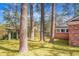 Backyard showcasing mature trees and additional small structure at 407 Hayne St, Walterboro, SC 29488