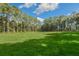 Large grassy field extends to a tree line under a blue sky with scattered clouds at 5991 Joseph Blake Ln, Wadmalaw Island, SC 29487
