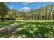 Expansive green field bordered by tall trees and a white fence under a bright blue, partly cloudy sky at 5991 Joseph Blake Ln, Wadmalaw Island, SC 29487