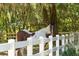 Spotted horse in a grassy pasture with a white fence and moss-draped trees in the background at 5991 Joseph Blake Ln, Wadmalaw Island, SC 29487