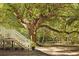 Backyard featuring stairs leading to the home with mature trees at 5991 Joseph Blake Ln, Wadmalaw Island, SC 29487