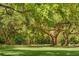 Lush green yard with mature trees, providing ample shade at 5991 Joseph Blake Ln, Wadmalaw Island, SC 29487