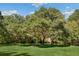 Expansive green lawn with mature shade trees and sunny sky creates a serene outdoor space at 5991 Joseph Blake Ln, Wadmalaw Island, SC 29487