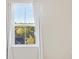 Window view with white curtains with trees, plants and foliage outside at 612 Mclernon Trce, Johns Island, SC 29455