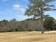 View of the golf course, with a sand trap and grassy areas with trees in the background at 941 Law Ln, Mount Pleasant, SC 29464