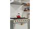 Close-up of a gourmet gas range with pot filler and custom range hood at 100 Queen St, Charleston, SC 29401