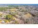 Wide aerial view of the neighborhood homes surrounded by lush trees and green spaces at 117 Roberts Rd, Summerville, SC 29483