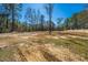 This backyard is surrounded by trees and has cleared areas for easy use and a beautiful blue sky at 117 Roberts Rd, Summerville, SC 29483