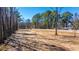 Picturesque cleared lot with mature trees, providing a serene backdrop for future development at 117 Roberts Rd, Summerville, SC 29483