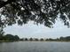 Peaceful view of the lake framed by lush trees, offering a serene escape at 1225 Blakeway St # 1104, Daniel Island, SC 29492