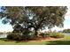Relaxing lake view framed by a large tree with waterfront homes in the background at 1225 Blakeway St # 1104, Daniel Island, SC 29492