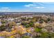 A scenic aerial view of a neighborhood surrounded by lush trees, showcasing the area's peaceful setting at 2410 Trent St, Charleston, SC 29414