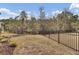 Expansive fenced backyard with lush grass, offering plenty of room for outdoor activities and gardening at 2425 Giles Ln, Mount Pleasant, SC 29466
