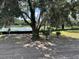 View of a pond surrounded by lush trees from a tree shaded lot at 2988 Lodge Berry Ln, Johns Island, SC 29455