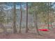 Backyard featuring a pond and a red kayak at 339 Cicadas Song, Moncks Corner, SC 29461