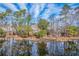 Scenic view of the backyard pond reflecting trees with lily pads, creating a peaceful and natural setting at 339 Cicadas Song, Moncks Corner, SC 29461