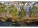 Backyard view with mature trees lining the pond with an orange kayak, creating a peaceful outdoor setting at 339 Cicadas Song, Moncks Corner, SC 29461