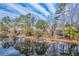 Scenic pond view with tree reflections creating a natural landscape with neighborhood homes in the background at 339 Cicadas Song, Moncks Corner, SC 29461