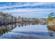 Calm lake view highlighting natural reflections, showcasing tranquility and scenic waterfront potential at 339 Cicadas Song, Moncks Corner, SC 29461