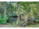 Overgrown backyard pond with lush green landscaping and mature trees at 105 Peacock Pl, Summerville, SC 29485