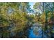 Overgrown pond with aquatic trees and greenery creates a serene and scenic view at 1253 Lakefront Dr, Charleston, SC 29412