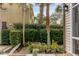 Landscaped backyard with mature trees and greenery at 18 Logan St, Charleston, SC 29401