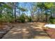 Spacious backyard with lush landscaping, a small concrete patio and a variety of mature trees and vegetation at 2176 Andover Way, Mount Pleasant, SC 29466