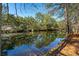 A small pond with clear water reflects the surrounding trees creating a peaceful and picturesque natural setting at 2176 Andover Way, Mount Pleasant, SC 29466