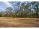Expansive backyard with mature trees, offering privacy and a natural setting for outdoor activities at 2270 Kemmerlin St, Johns Island, SC 29455
