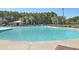 Large, inviting community pool area with lush landscaping and shade from mature trees at 232 Decatur Dr, Summerville, SC 29486