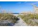 Sandy path through sea grass leading to the beach and ocean at 27 Ocean Point Dr, Isle of Palms, SC 29451