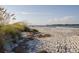 Serene beach view with gentle waves, scattered seaweed, and lush dune grasses under a clear sky at 27 Ocean Point Dr, Isle of Palms, SC 29451