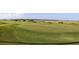 Close up of a beautiful lush golf course putting green with manicured lawns and scenic background at 27 Ocean Point Dr, Isle of Palms, SC 29451