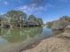 Serene waterfront view of the pond, offering a peaceful and scenic outdoor experience at 547 Island Walk, Mount Pleasant, SC 29464