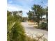 Street view showcasing a stop sign, palm trees, and partial view of a home down the road at 6 4Th Ave, Isle of Palms, SC 29451