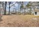 Large, private backyard offers a serene setting with mature trees and plenty of room for recreation at 7629 Vanderbrook Pl, North Charleston, SC 29420