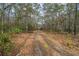 Long winding driveway leads to the secluded home surrounded by trees at 8262 Fairview Nursery Rd, Hollywood, SC 29449