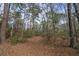 A path covered in leaves, surrounded by dense trees, suggesting a peaceful retreat at 8262 Fairview Nursery Rd, Hollywood, SC 29449