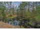 Picturesque pond scene with algae, reflecting surrounding trees, creating a serene natural environment at 8262 Fairview Nursery Rd, Hollywood, SC 29449